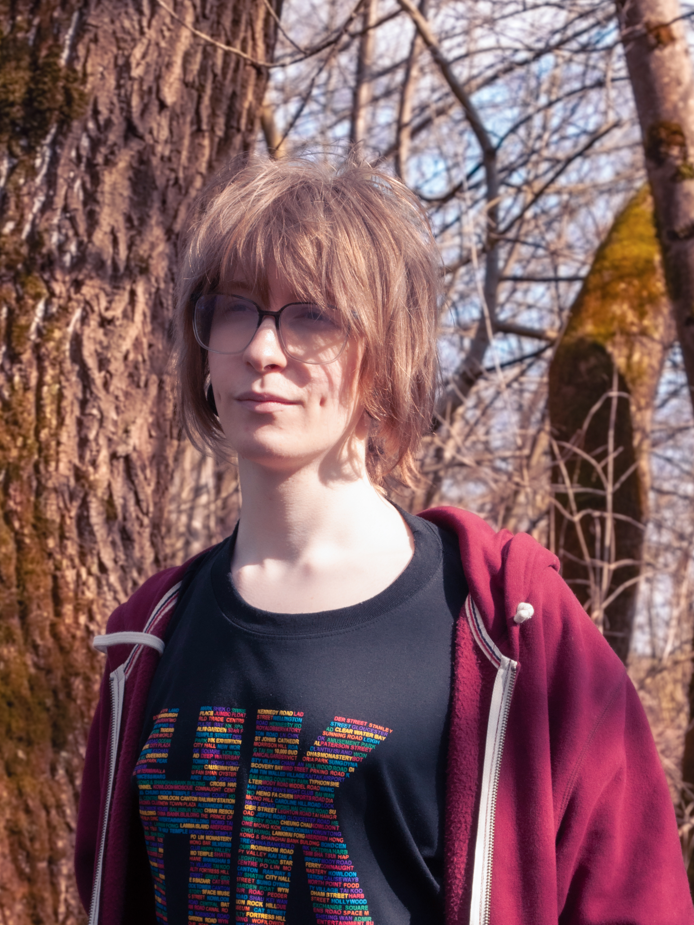 Portrait of Jan Novotný